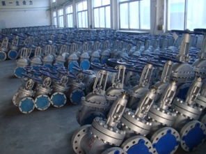 江蘇鎮江鑄造閥門 立足閥門做大閥門產業