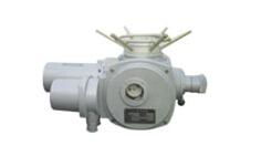 核級閥門電動裝置的產品分類,核級閥門電動裝置的產品分類生產廠家,核級閥門電動裝置的產品分類價格